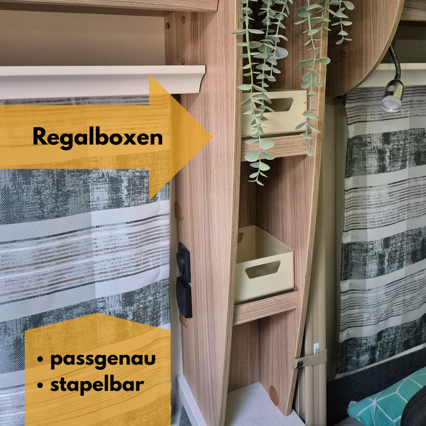 Regalboxen für Fendt Wohnwagen