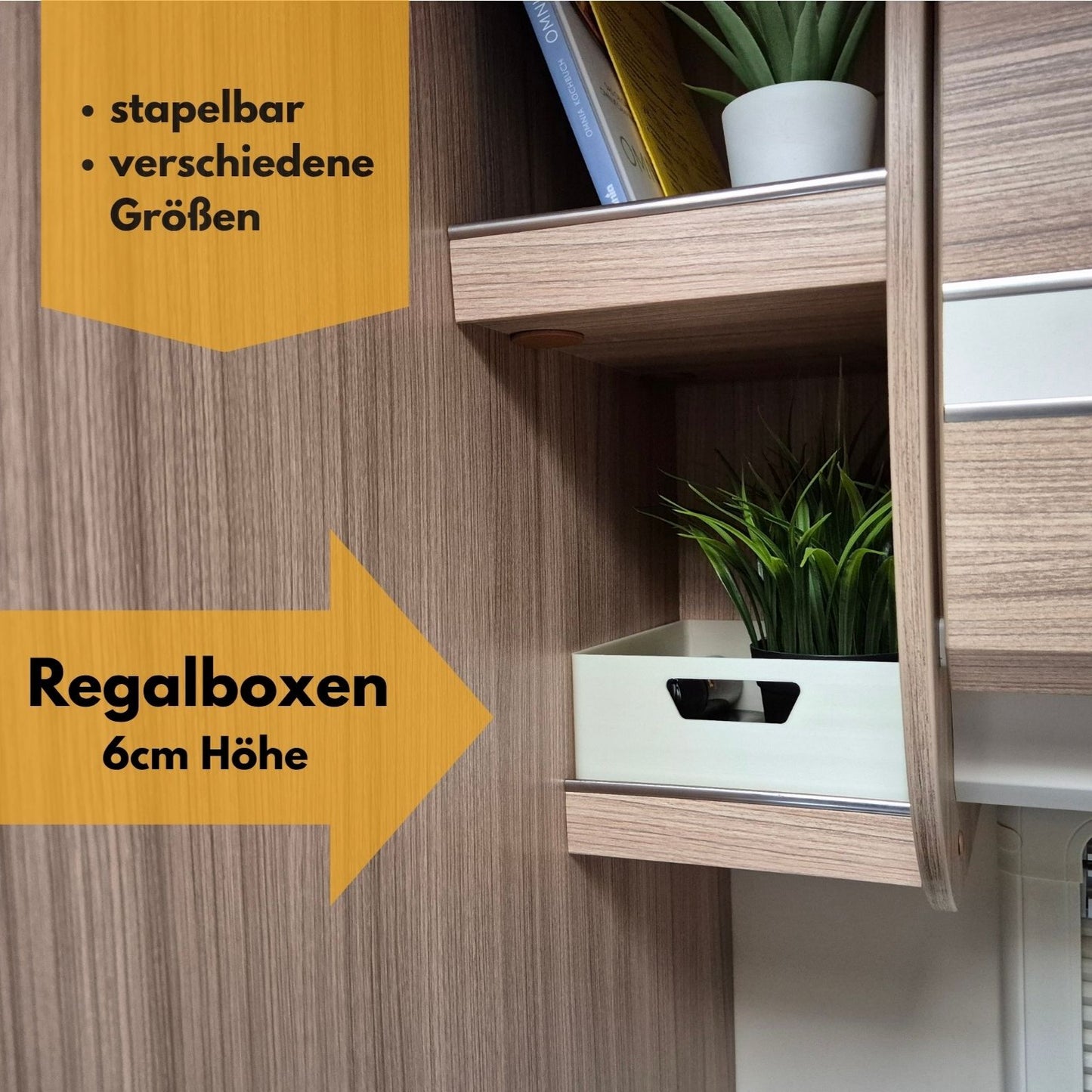Regalbox (versch. Größen) 6cm Höhe für Wohnwagen Wohnmobil Camper
